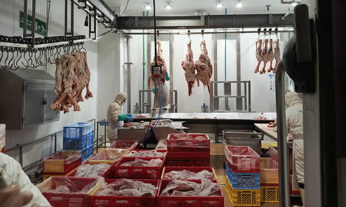 Inversión Extranjera