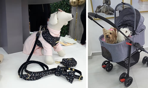 Inversión Extranjera