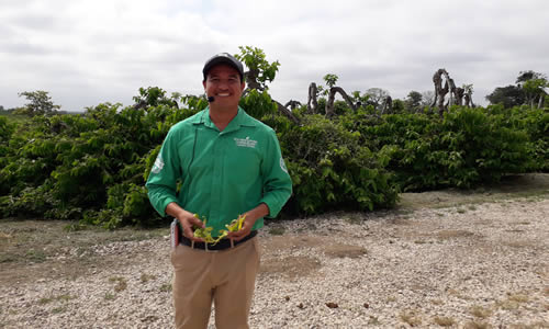 Inversión Extranjera