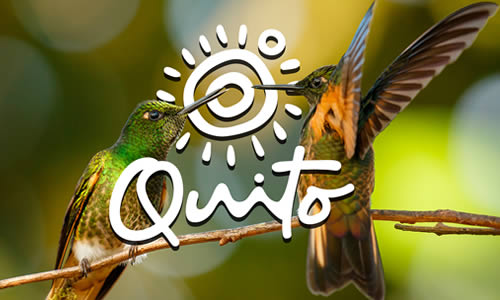 Inversión Extranjera